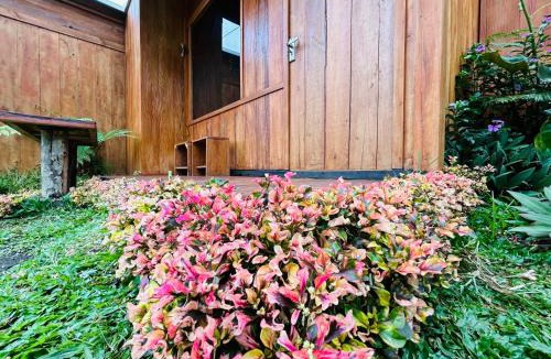 Kintamani Other | Buahan Sweet Glamping (BSG)
