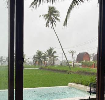 Pejeng Kawan House | Bungalows