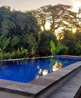 Celuk Villa | Carangsari 3 Bedroom Villa with Private Swimming Pool and Riverside