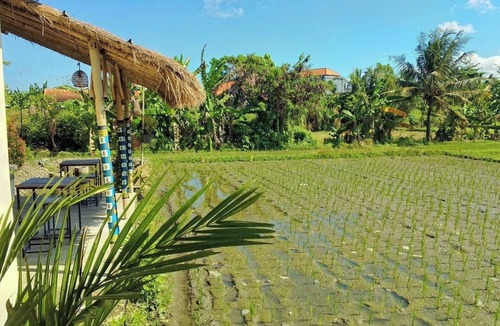 Singakerta Villa | Charming 1-bedroom villa with WiFi, AC in enchanting Bali