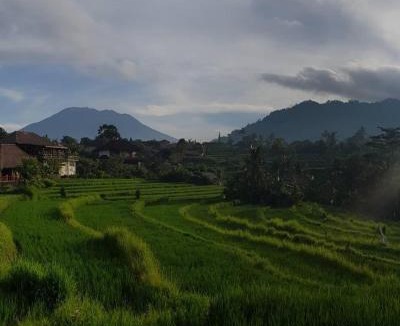 Sidemen Cabin | D'Janu Homestay