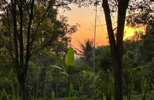 Gobleg Cabin | D'Langun Bali