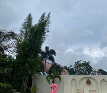 Toya Bungkah Bed & Breakfast | Enjung Segara