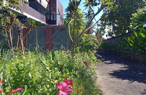 Goris House | exotic menjangan