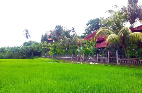 Tukad Mungga Hostel | Hostel ∙ 8 guests