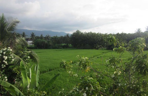 Tukad Mungga Hostel | Hostel ∙ 8 guests