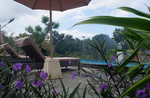Mushroom Bay Hostel | Hostel ∙ 8 guests