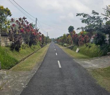 Tua House | Jero Pinge Homestay