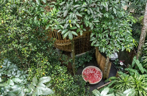 East Selemadeg Villa | June Special Offer! Beautiful1BR Bamboo Villa in Tabanan