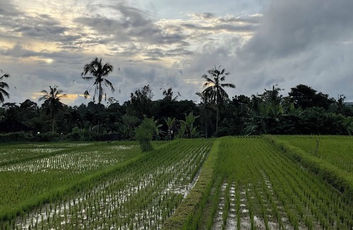 Wongaya Gede House | Lovely house with WiFi in beautiful Bali