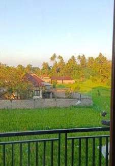 Purwakerti House | Lumbung Sari Home Stay