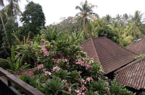 Kedewatan Bed & Breakfast | Manada Guesthouae
