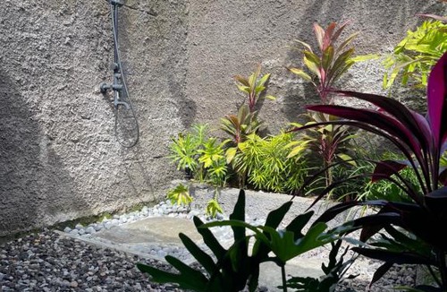 Amlapura Bed & Breakfast | Oemah Gebagan 78 Akasha Room B&B