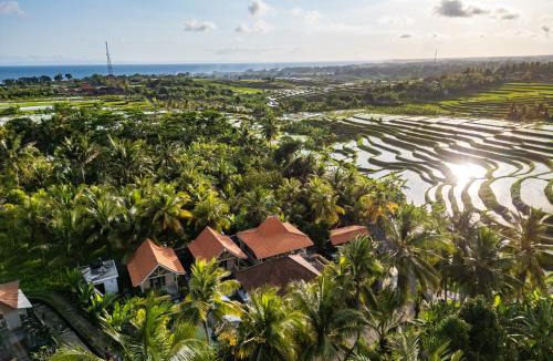Mendoyo Bed & Breakfast | Omah Tiga, Yeh Embang, Jembrana