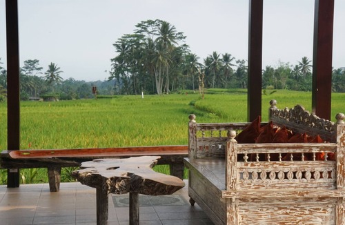 Kenderan Villa | One Bedroom Villa overlooking to Rice Field