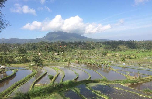 Ababi Resort | Pandan Guest House
