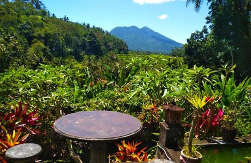 Ababi House | Pondok Batur Indah Homestay Karangasem