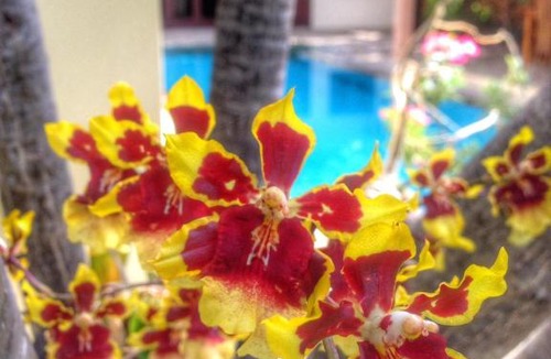 Banjartegehe Villa | Puri Jati Retreat