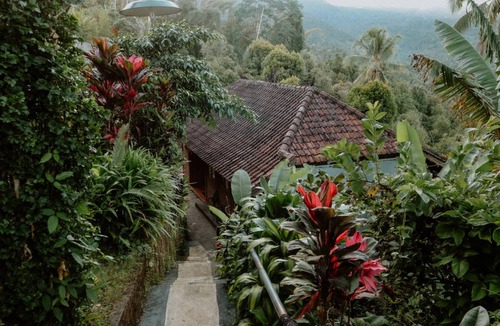 Munduk House | Puri Sunny Guesthouse