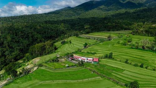 Penebel House | Santya Loka Lodge & Twin Waterfall