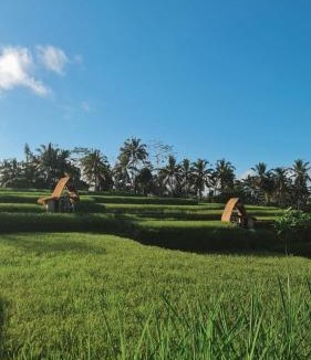 Sebatu Other | Swaha Retreat & Eco Park Ubud