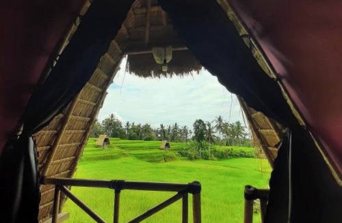 Sebatu Villa | Swaha Retreat & Eco Park Ubud