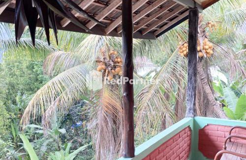 Munduk House | Taman Ayu Homestay Munduk Mitra RedDoorz