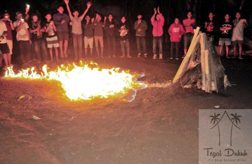 Taro Other | Tegal Dukuh Camp