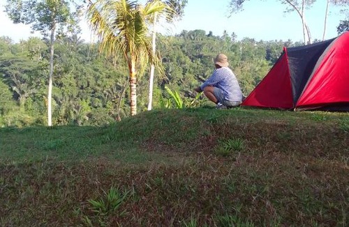 Taro Other | Tent gastronomy