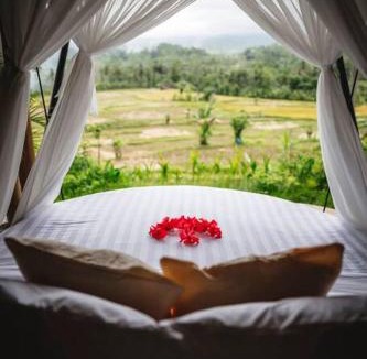 Selat Villa | The Nude House