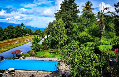 Munduk Villa | The Sangkih Villa