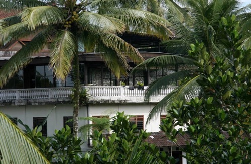 Sebatu House | Ubud Rice Terrace - Jungle/rainforest view