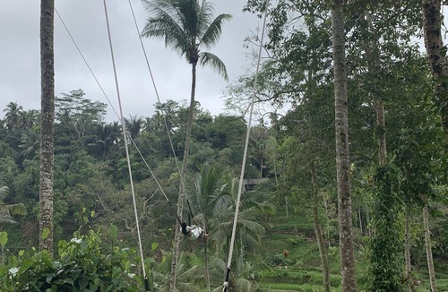 Bangli House | ubud tour and waterfall
