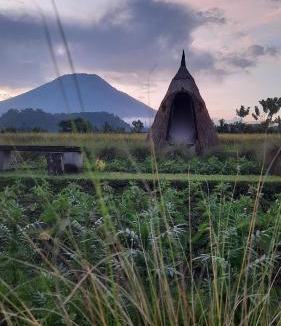 Karangasem Other | Uma Buug