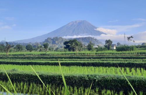 Karangasem Other | Uma Buug
