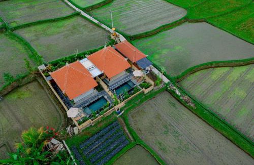 Sebatu Villa | Umesari Villa Sebatu