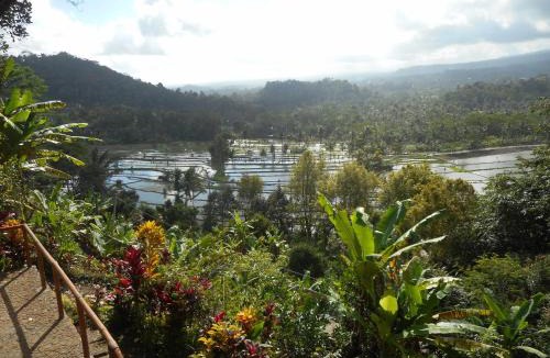 Selat Villa | Villa Dukuh