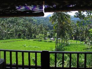 Sawan House | Villa Manuk