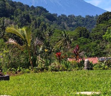 Sidemen Hostel | Villas Arta Dani