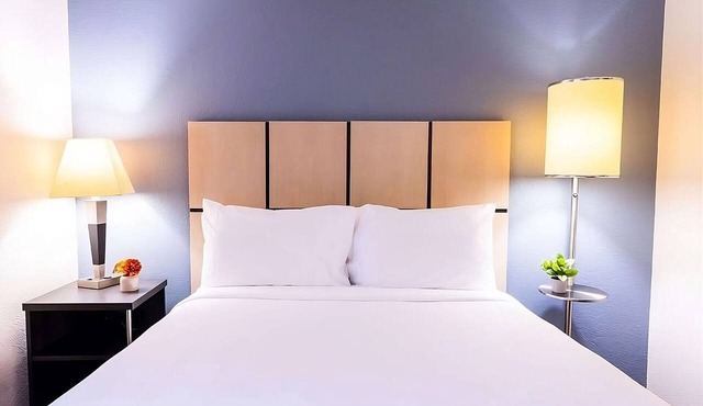 Pet-friendly Accommodation Near Hurricane Harbor Arlington! Parking, Pool!