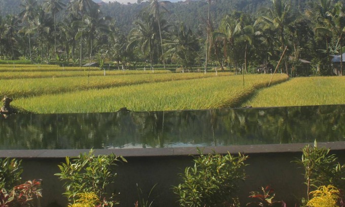 Munduk Bed & Breakfast | 84 m² Bed and breakfast ∙ 5 guests