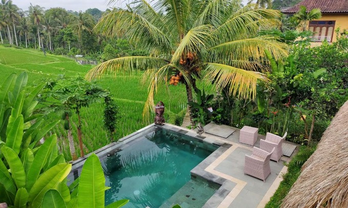 Kenderan House | Dukuh Village Villas & Art
