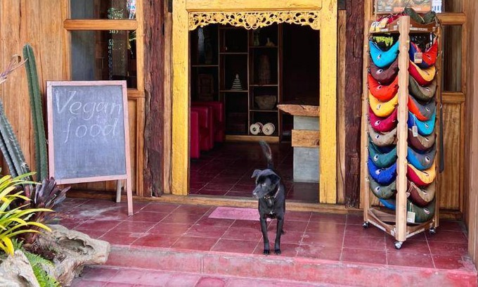 Candikuning Hostel | Hostel ∙ 1 guest