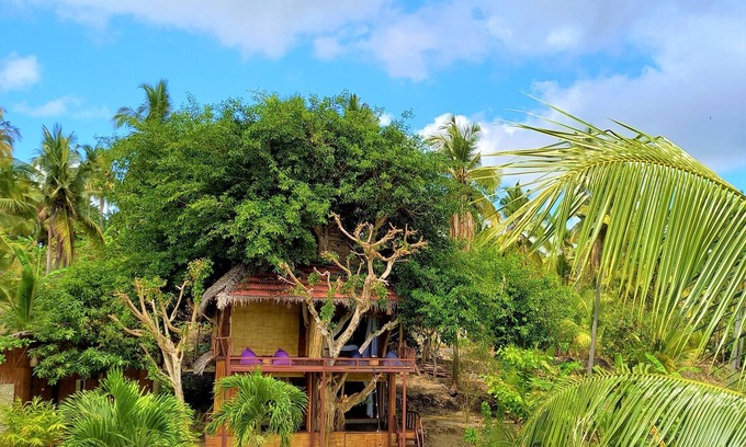 Penida Island Hostel | Room on the Real Tree