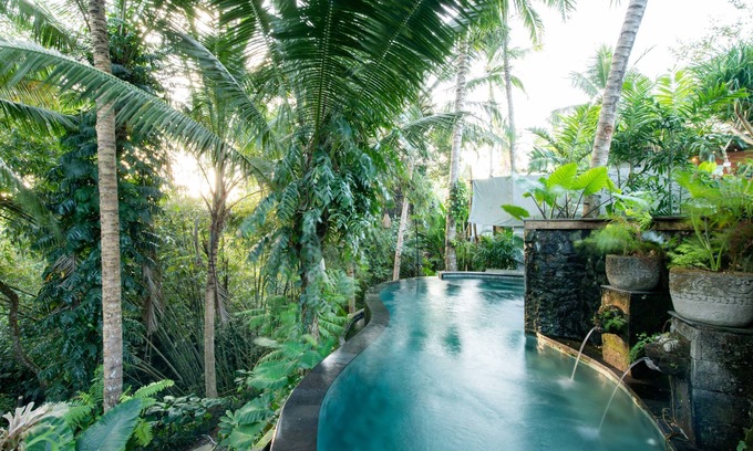 Andong Hostel | Ubud Tropical - Hostel