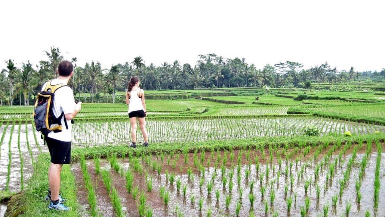 Photo of Others in Payangan