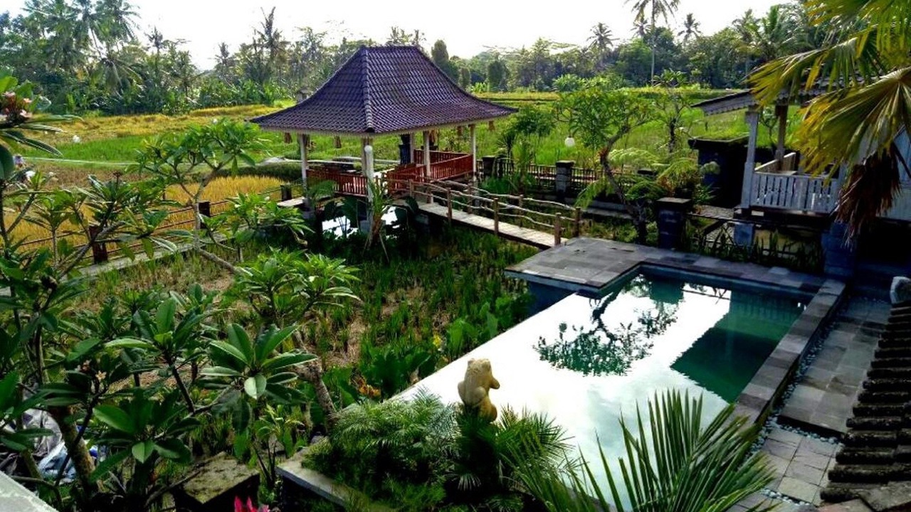 Photo of Others in Payangan