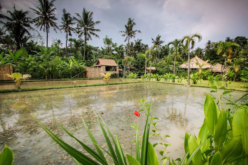 Photo of Others in Keramas