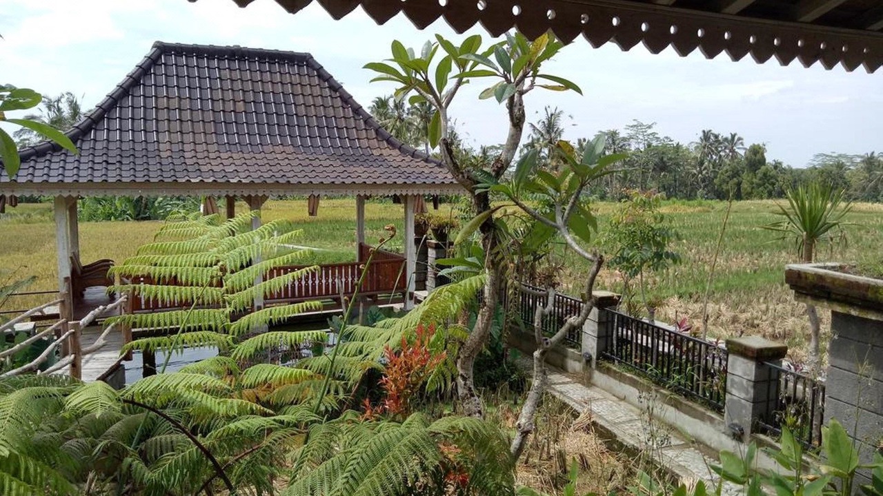 Photo of Buildings in Payangan