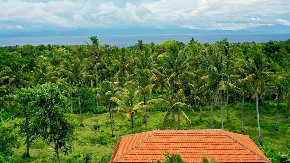 Photo of Others in Penida Island